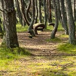 Наталия