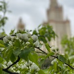 Наталья