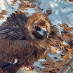 Наталья