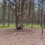 Ольга