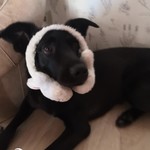 Юлия