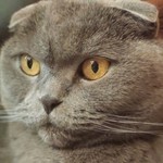 Наталья