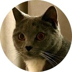 Полина