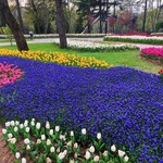 Александра