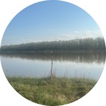 Ренат
