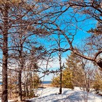 Лариса