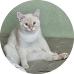 Татьяна