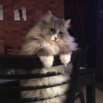 Игорь