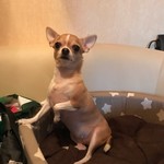 Вадим