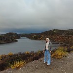 Голубь