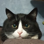 Наталья