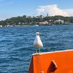 Дарья