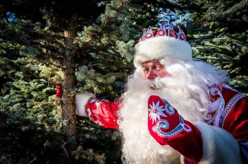 Новый год в Абхазии – групповая экскурсия