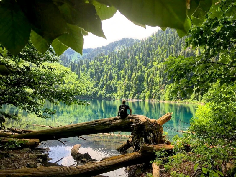 Путешествие по национальному парку: из Гагры — на озеро Рица – групповая экскурсия