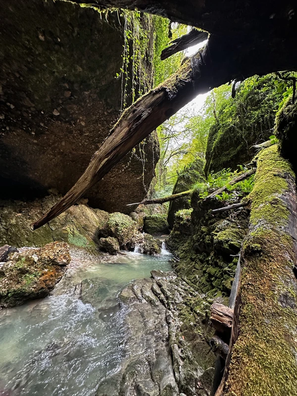 Лыхны, Отхара и каньон Ыгри — из Гагры – групповая экскурсия