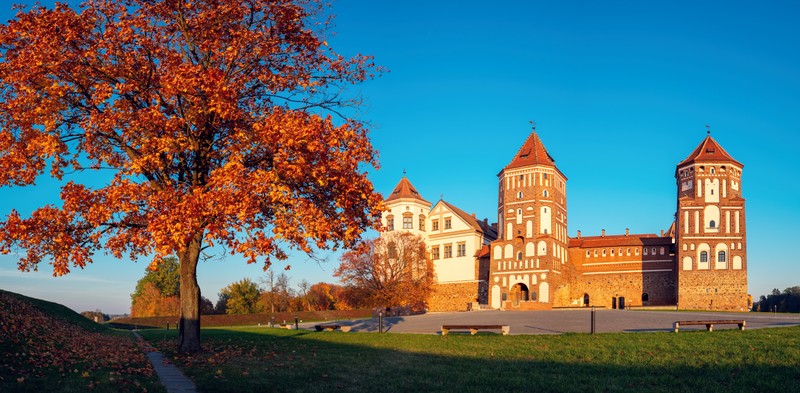 Индивидуальный тур по символам Беларуси: замки, Брест и Беловежская пуща – авторский тур