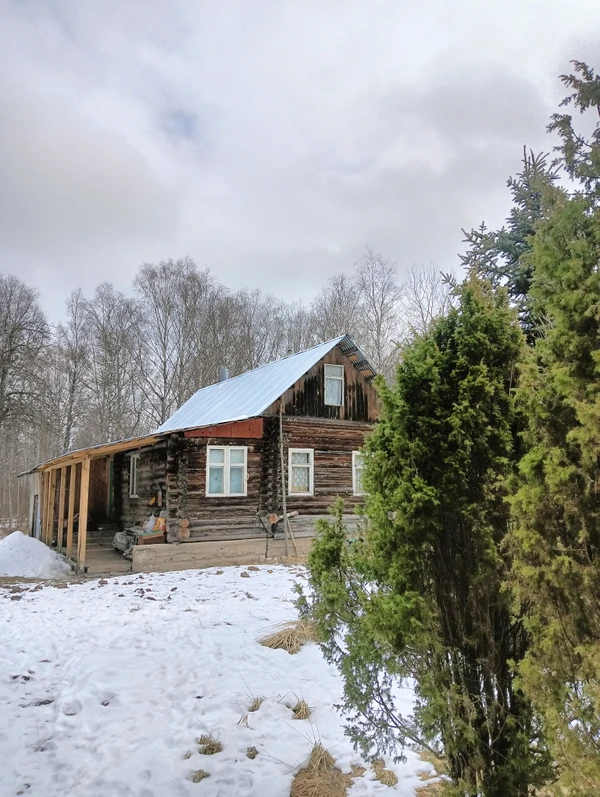 Чаепитие в лесной избушке близ Суздаля – индивидуальная экскурсия