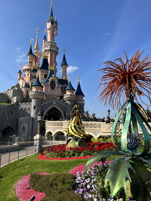Диснейленд — волшебство без очередей! – индивидуальная экскурсия