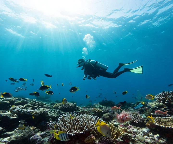 Адреналин глубин: магия острова Хон Дой Мой – индивидуальная экскурсия