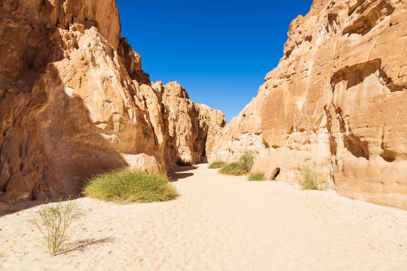 Большое путешествие по южному Синаю —  из Шарма-эль-Шейха – индивидуальная экскурсия