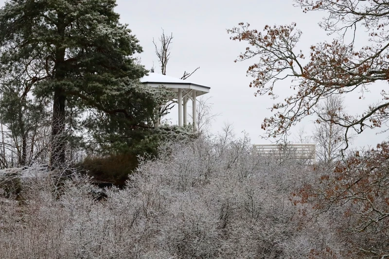 Утро в Монрепо – индивидуальная экскурсия