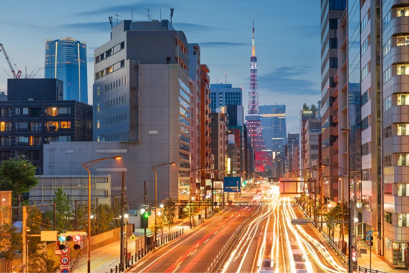 Ваш первый маршрут по Токио: адаптация за 8 часов – индивидуальная экскурсия