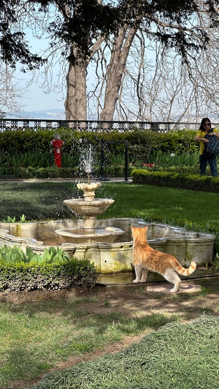 Аудиогид по азиатской стороне Босфора: вне суеты и времени – индивидуальная экскурсия