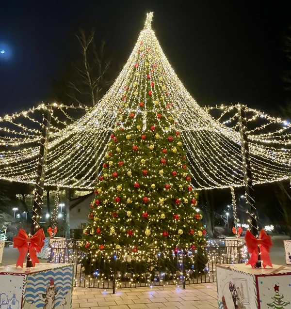 Рождество в Кранце – групповая экскурсия