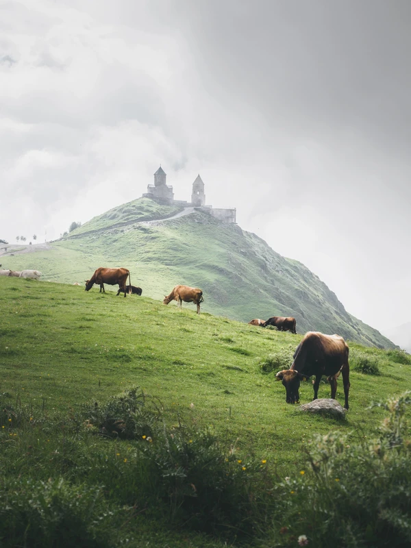 В объятия с Казбеком – групповая экскурсия