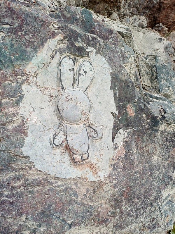 Откройте для себя Карелию – индивидуальная экскурсия