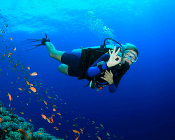 Фото 4 авторского тура - день 5 Полёт на параплане, турецкий хамам и дайвинг