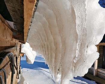 Фото 4 авторского тура - день 2 На санях по снежному лесу