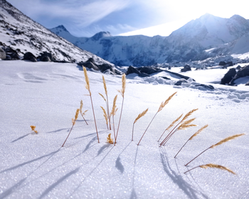 Фото 4 авторского тура - день 7 Перевал Кату-Ярык