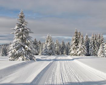 Фото 4 авторского тура - день 3 Виды Аккемского озера