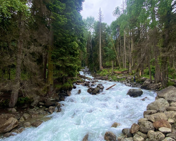 Фото 2 авторского тура - день 1 Кавказский и Тебердинский заповедники и водопад Алибек Фото 2 авторского тура - день 1 Кавказский и Тебердинский заповедники и водопад Алибек
