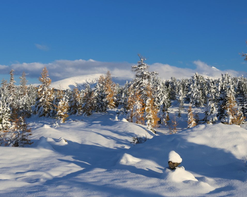 Фото 4 авторского тура - день 2 На снегоходах через Кузуяк и каньон Аккеме