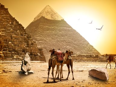 Ваш идеальный день в Каире – индивидуальная экскурсия