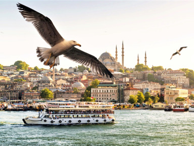 Экскурсия «Знакомство со Стамбулом»