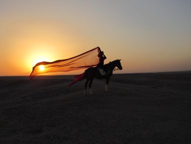 Конные прогулки по пустыне и к Красному морю – индивидуальная экскурсия