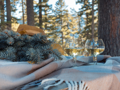 Новогодний тур «Изумрудный полуостров ‌Гамова» – групповая экскурсия