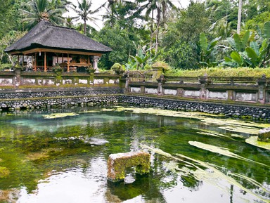 Бали изнутри – индивидуальная экскурсия
