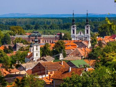 Сремски Карловцы — самый обаятельный город Сербии (из Нови-Сада) – индивидуальная экскурсия