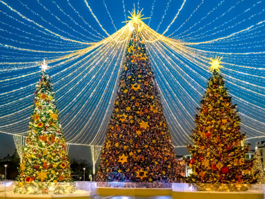 Главные ёлки центра столицы — пешеходная экскурсия по новогодней Москве