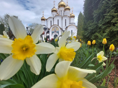 История, святыни и чудеса древних переславских монастырей – индивидуальная экскурсия