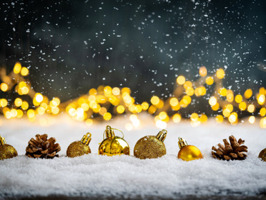 Новый год на яхте из порта Адлера – групповая экскурсия