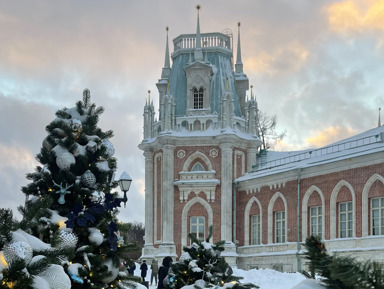 Царицыно: дворцовые истории Екатерины Великой – индивидуальная экскурсия