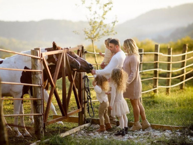 Экскурсия по Сочи для детей и родителей: ферма, аквариум и парк развлечений