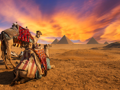 Погружение в вечность — пирамиды Гизы, Саккара и мистический Город мёртвых – индивидуальная экскурсия
