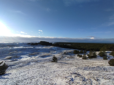 Замки, форт, Зеленоградск и Куршская коса – индивидуальная экскурсия