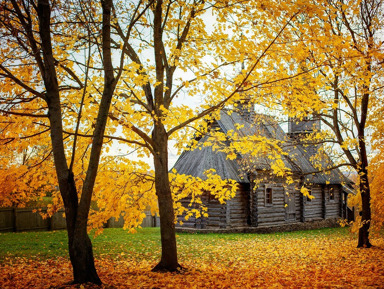 Пушкин: предки и потомки. Большое Болдино — имение Пушкиных  – индивидуальная экскурсия